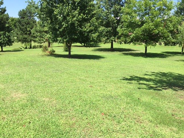 66 Burkhardt Rd, Drummonds, TN 38023 photo 14
