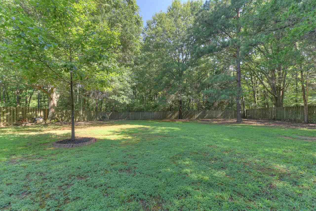 6910 Seventh Rd, Bartlett, TN 38135 photo 24