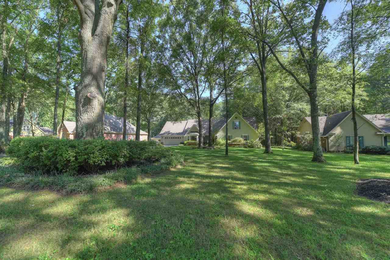 6910 Seventh Rd, Bartlett, TN 38135 photo 3