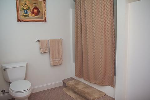 20 Ode Moore Rd, Michie, TN 38357 photo 10