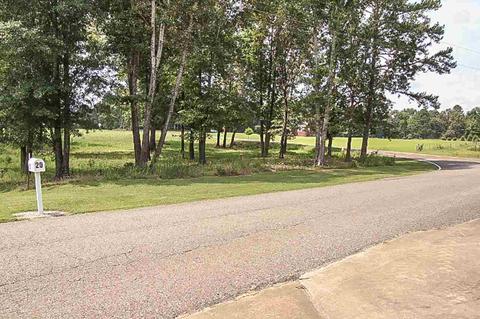 20 Ode Moore Rd, Michie, TN 38357 photo 21