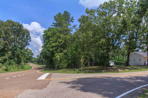 20 Ode Moore Rd, Michie, TN 38357 photo 23