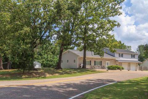 20 Ode Moore Rd, Michie, TN 38357 photo 1