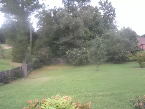 7622 Rigmoore Point St S, Olive Branch, MS 38654 photo 10