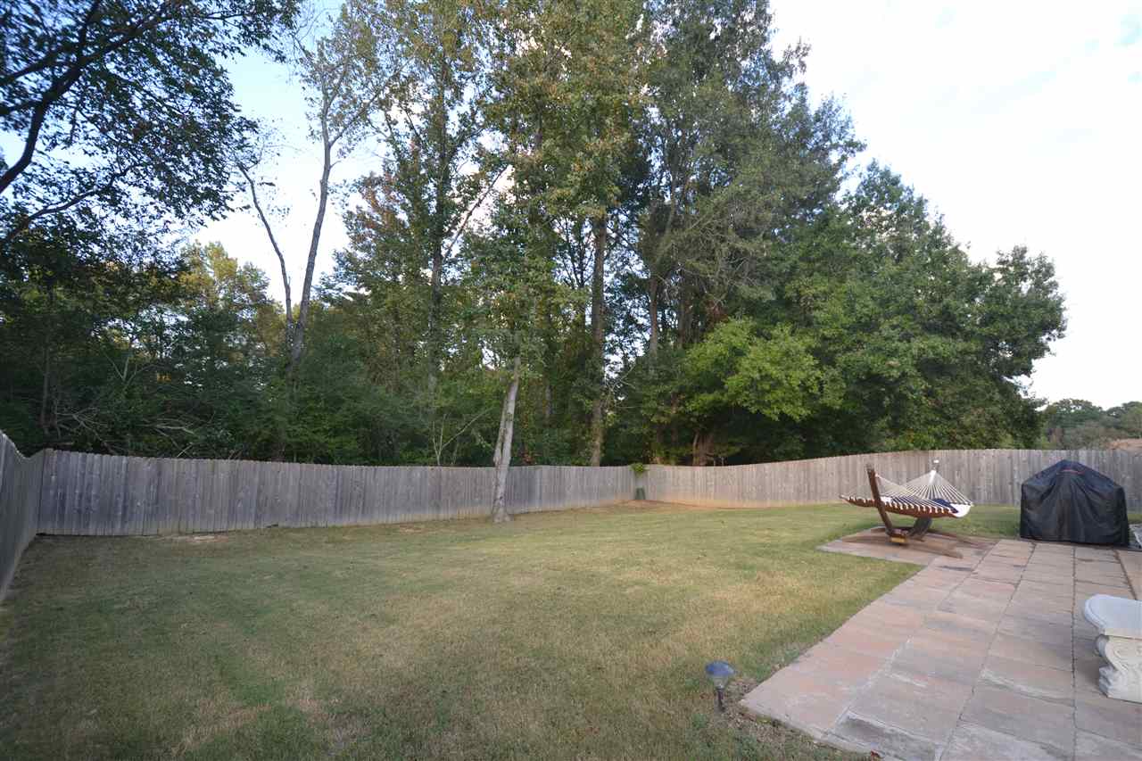 7710 Elpine Gray Dr, Arlington, TN 38002 photo 10