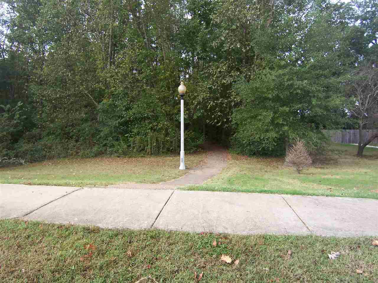 3611 Haynes Rd, Bartlett, TN 38133 photo 22