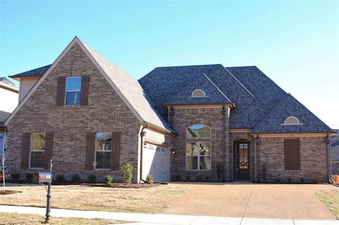 8739 Brunswick Forest Cir, Bartlett, TN 38133 photo 1