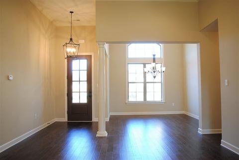 8739 Brunswick Forest Cir, Bartlett, TN 38133 photo 9