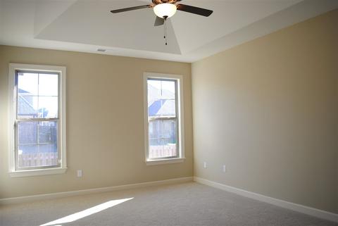 8739 Brunswick Forest Cir, Bartlett, TN 38133 photo 12