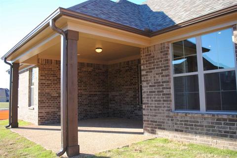 8739 Brunswick Forest Cir, Bartlett, TN 38133 photo 23