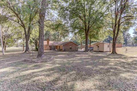 1387 Hall Rd, Nesbit, MS 38651 photo 18