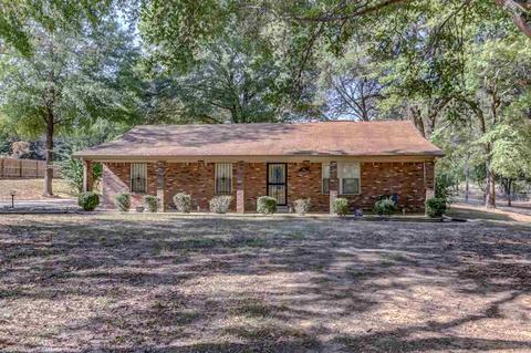 1387 Hall Rd, Nesbit, MS 38651 photo 1