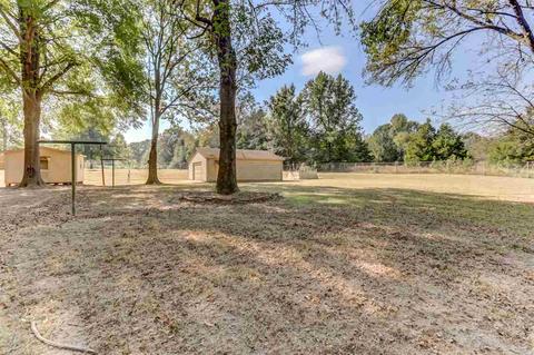 1387 Hall Rd, Nesbit, MS 38651 photo 22