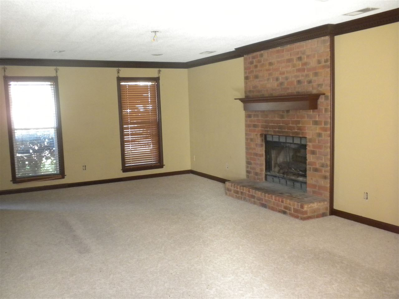 7549 Olivia Hill Rd, Bartlett, TN 38133 photo 7