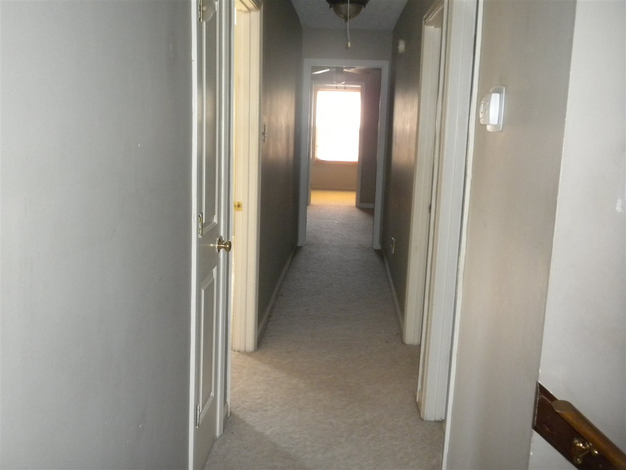 7549 Olivia Hill Rd, Bartlett, TN 38133 photo 21