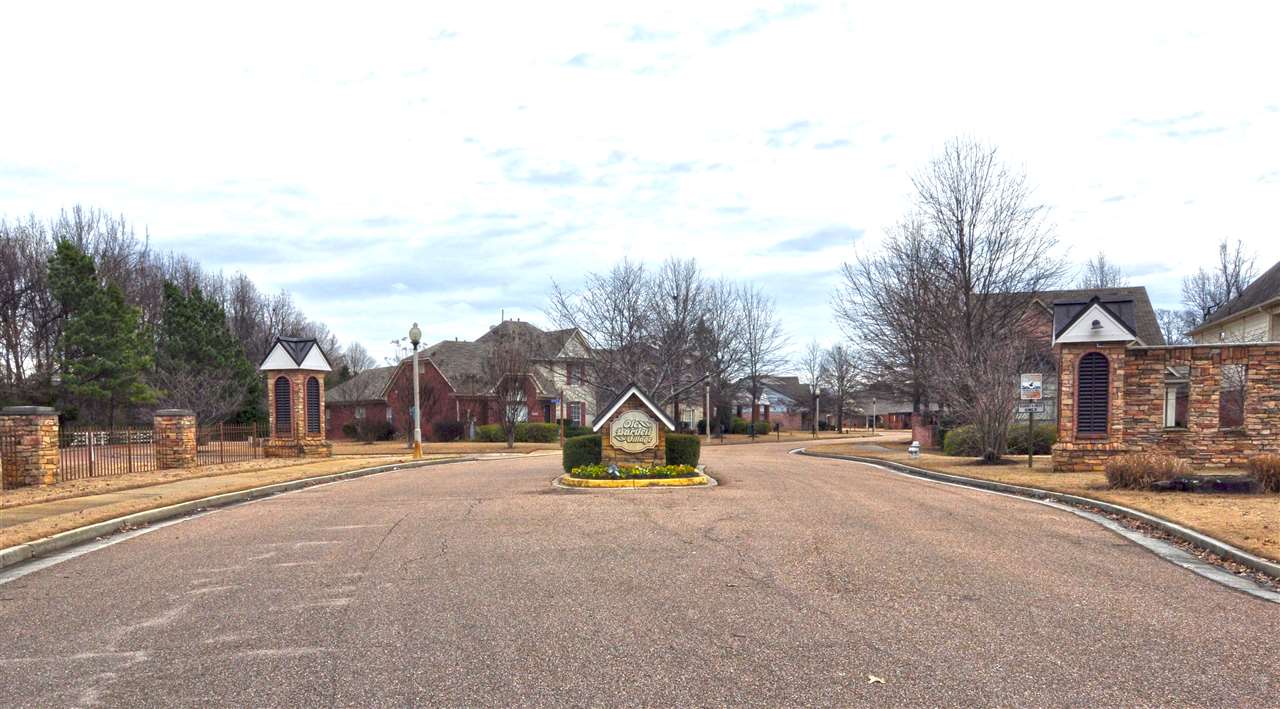 6027 Grayce Dr, Bartlett, TN 38134 photo 18