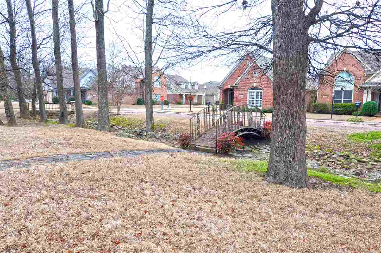 6027 Grayce Dr, Bartlett, TN 38134 photo 19