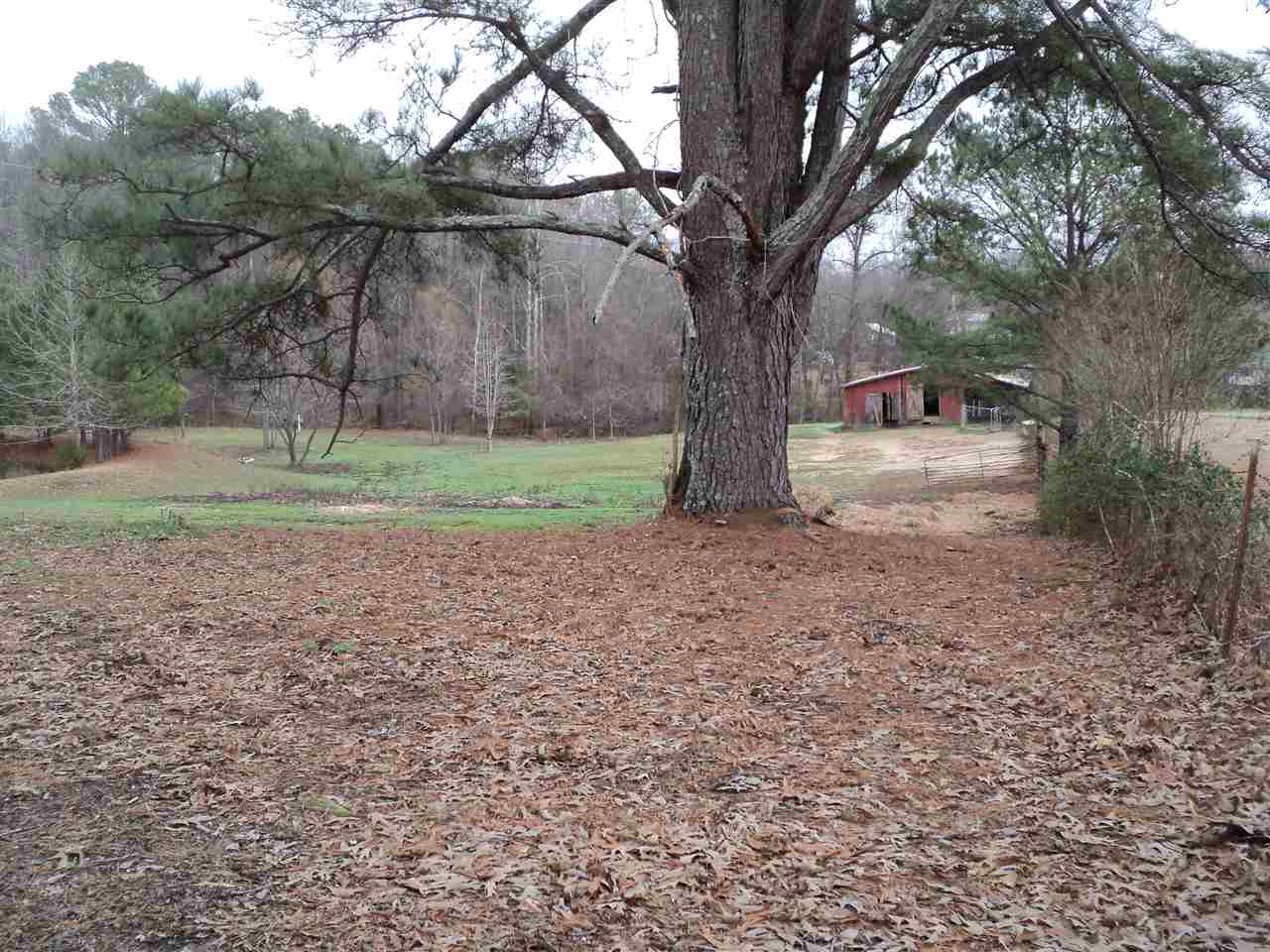 3363 Mt Vernon Rd, Ramer, TN 38367 photo 15
