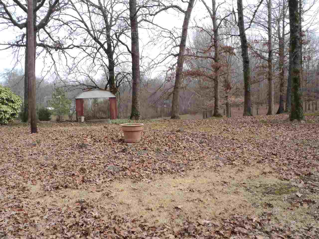 3363 Mt Vernon Rd, Ramer, TN 38367 photo 20