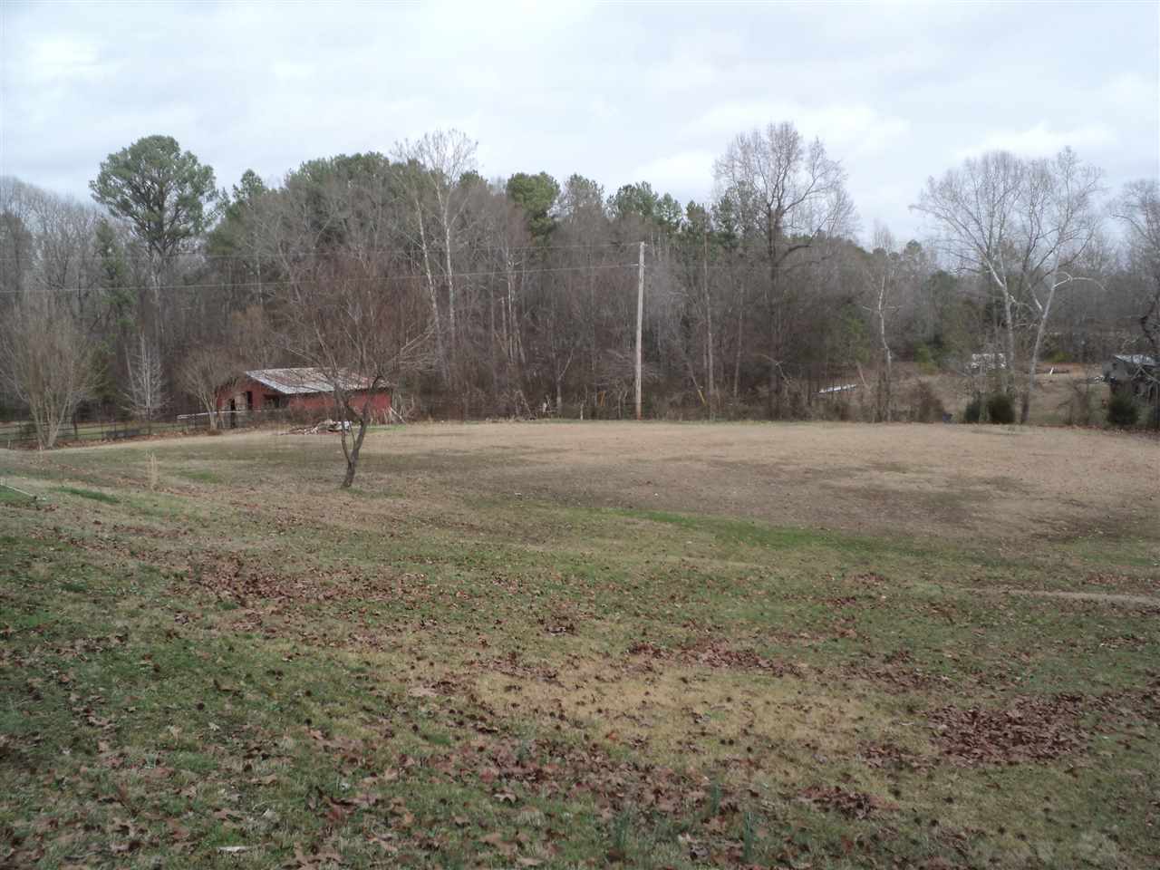 3363 Mt Vernon Rd, Ramer, TN 38367 photo 24