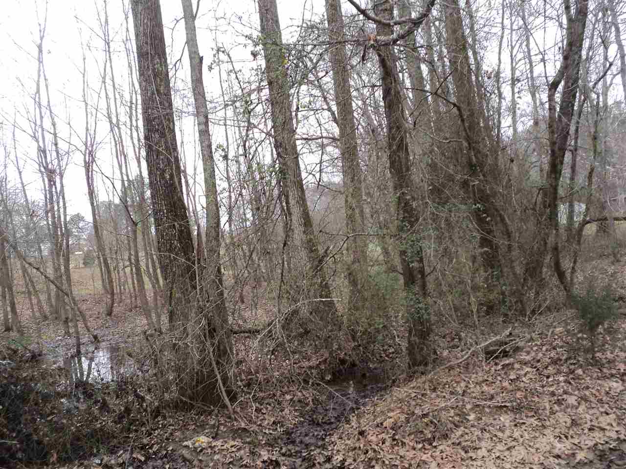 3363 Mt Vernon Rd, Ramer, TN 38367 photo 18