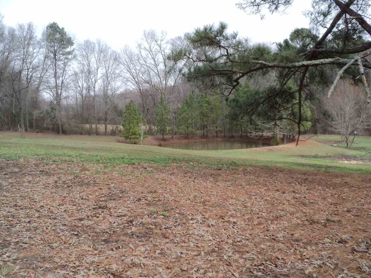 3363 Mt Vernon Rd, Ramer, TN 38367 photo 14