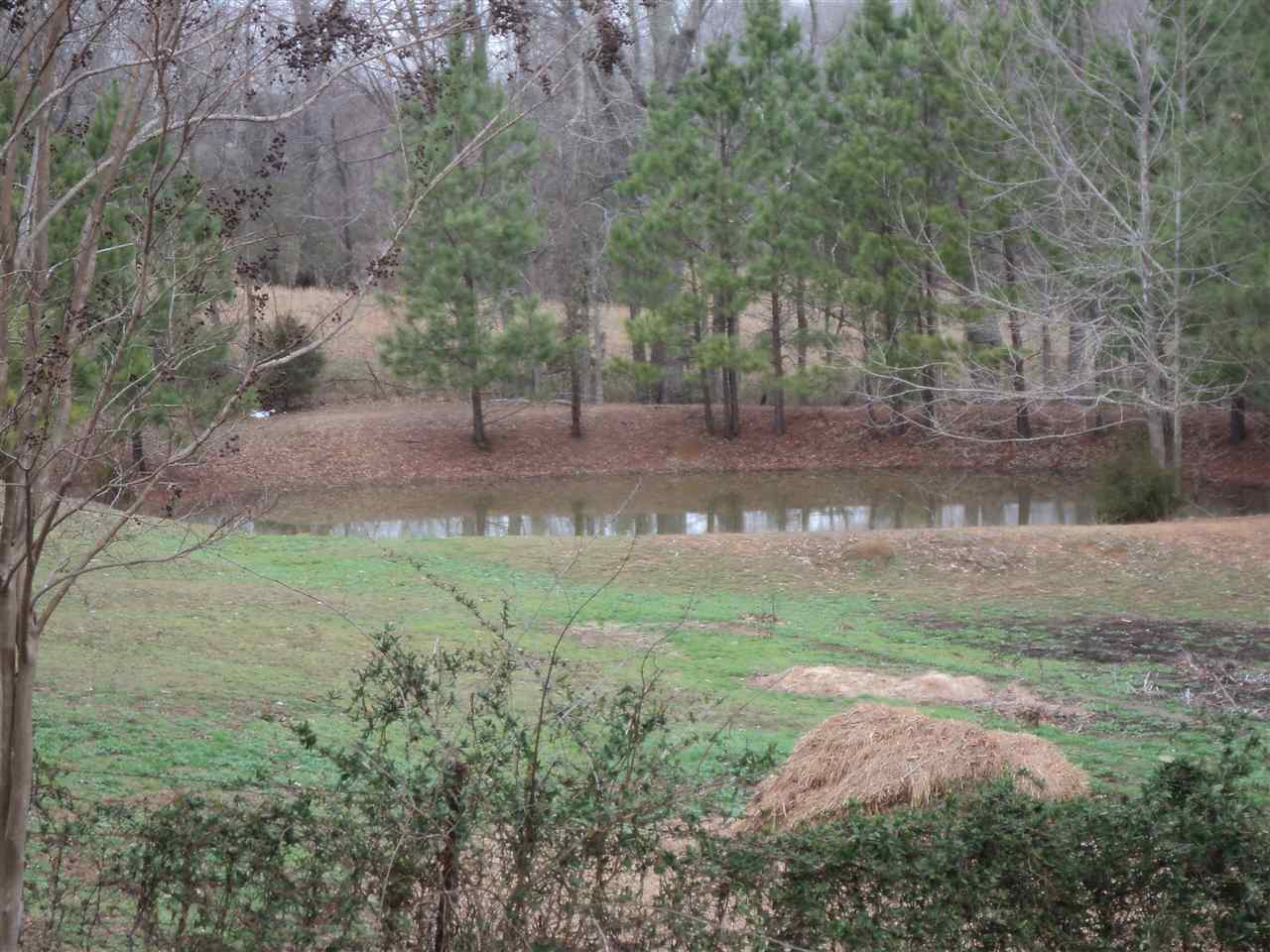 3363 Mt Vernon Rd, Ramer, TN 38367 photo 6