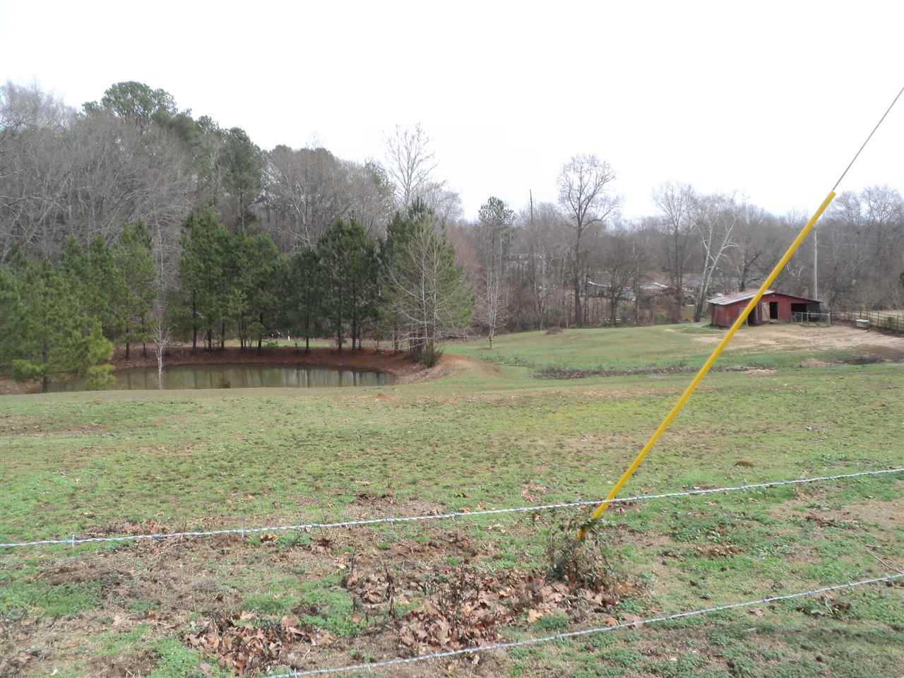 3363 Mt Vernon Rd, Ramer, TN 38367 photo 16