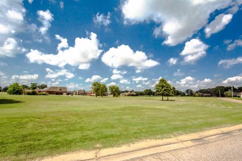8 Eagle Trace Rd, Covington, TN 38019 photo 4