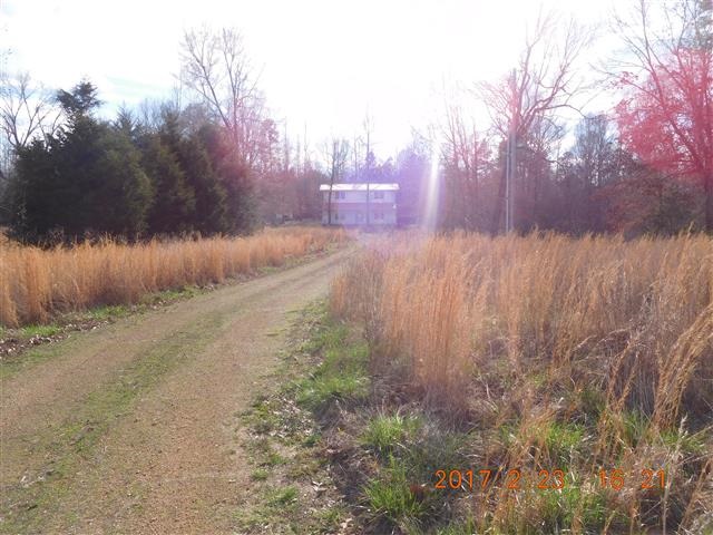470 Old Man Loop, Olivehill, TN 38475 photo 6