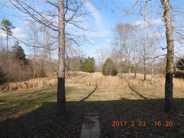 470 Old Man Loop, Olivehill, TN 38475 photo 7