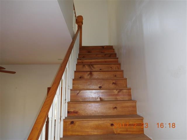 470 Old Man Loop, Olivehill, TN 38475 photo 16