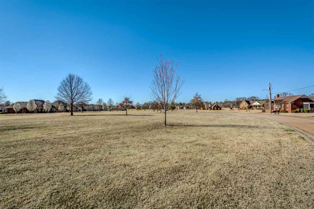44 Eagle Trace Rd, Covington, TN 38019 photo 19