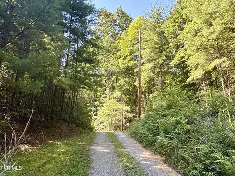29 38 Acre Bull Mtn Rd Off Del Rio Tn 37727, Del Rio, TN 37727