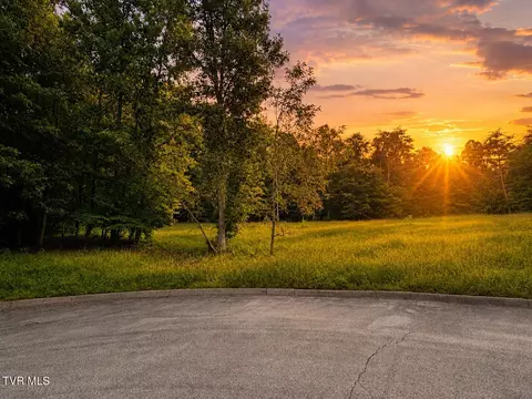 3013 Wildwood Circle Church Hill Tn 37642, Church Hill, TN 37642