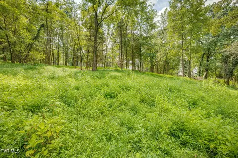 3634 Thornton Drive Kingsport Tn 37664, Kingsport, TN 37664