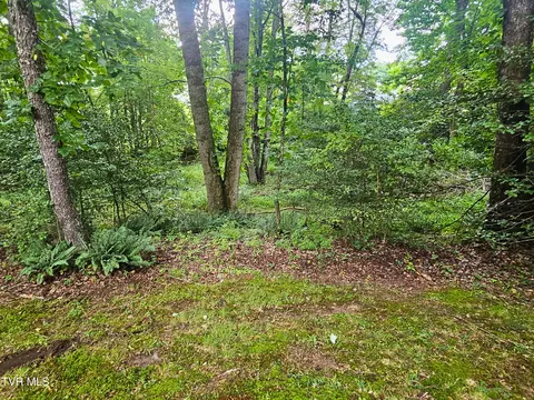 Exterior - 157 SW Straughan Drive Wise Va 24293, Wise, VA 24293 photo 17 of 28