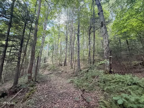 tbd Dennis Cove Rd Road Hampton Tn 37658, Hampton, TN 37658 photo 8