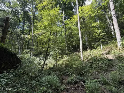 tbd Dennis Cove Rd Road Hampton Tn 37658, Hampton, TN 37658 photo 4