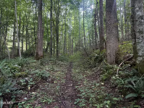 tbd Dennis Cove Rd Road Hampton Tn 37658, Hampton, TN 37658 photo 7