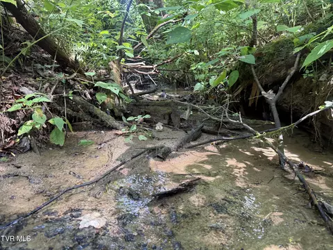 tbd Dennis Cove Rd Road Hampton Tn 37658, Hampton, TN 37658 photo 3