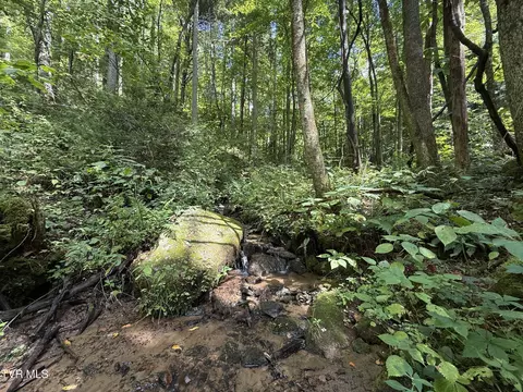 tbd Dennis Cove Rd Road Hampton Tn 37658, Hampton, TN 37658 photo 2