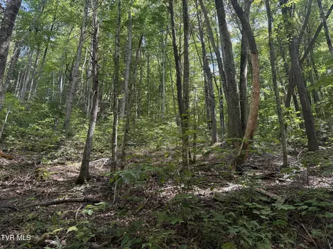 tbd Dennis Cove Rd Road Hampton Tn 37658, Hampton, TN 37658 photo 5