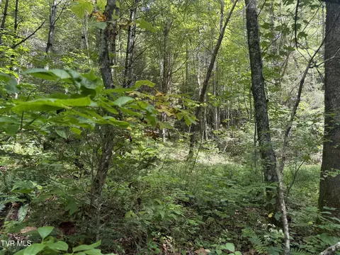 tbd Dennis Cove Rd Road Hampton Tn 37658, Hampton, TN 37658 photo 6