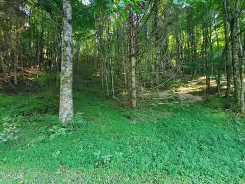 12 Laurel Highlands Road 12 Roan Mountain Tn 37687, Roan Mountain, TN 37687