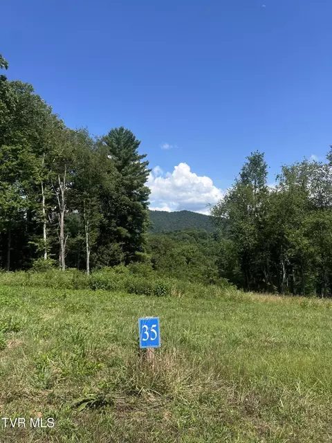 35 Cowan Town Road 35 Butler Tn 37640, Butler, TN 37640