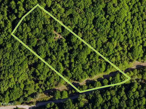 tbd Hickman Hollow Road Surgoinsville Tn 37873, Surgoinsville, TN 37873