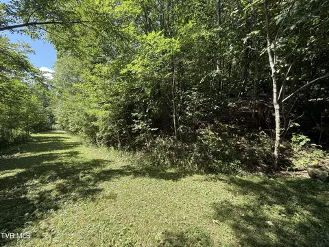 tbd Overlook Drive 7 Roan Mountain Tn 37687, Roan Mountain, TN 37687