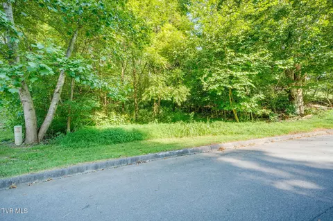 tbd Blanches Vw Drive Bluff City Tn 37618, Bluff City, TN 37618 photo 6