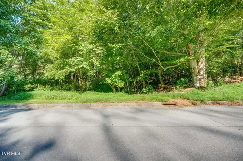 tbd Blanches Vw Drive Bluff City Tn 37618, Bluff City, TN 37618 photo 5